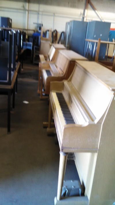 Auction Photo