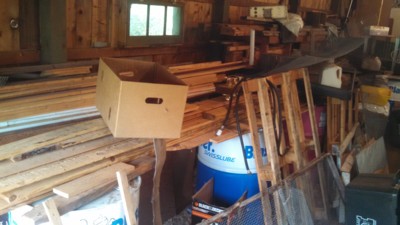 Auction Photo