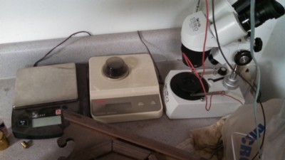 Auction Photo