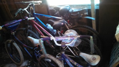 Auction Photo