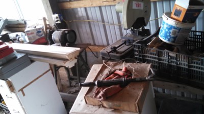 Auction Photo
