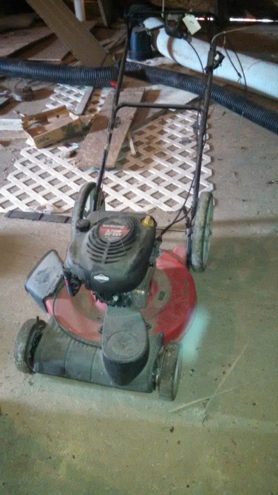 Auction Photo