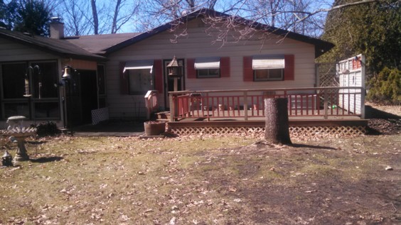Auction Photo