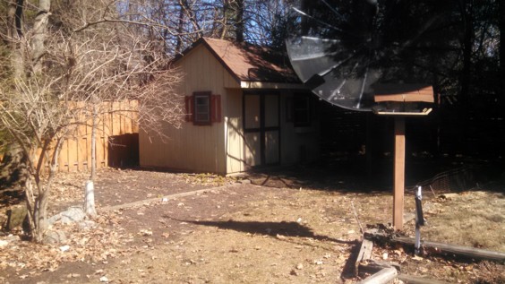 Auction Photo