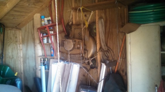 Auction Photo