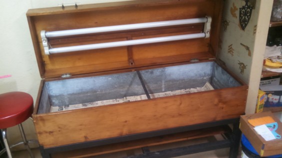 Auction Photo