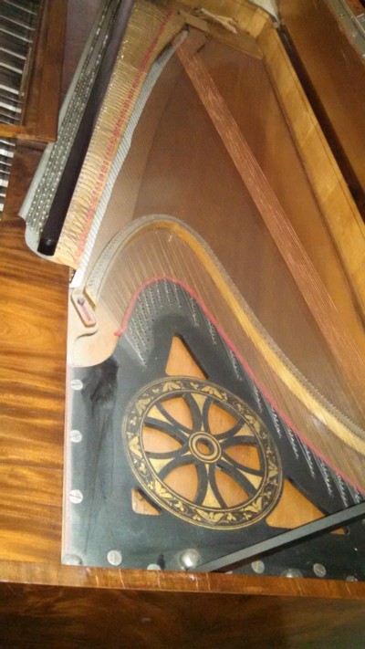 Auction Photo