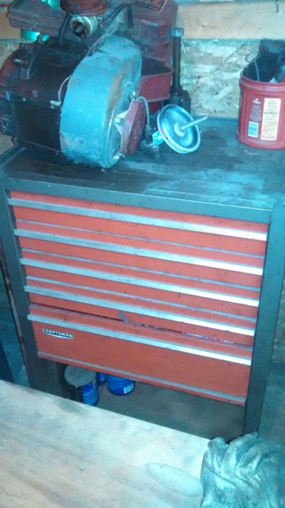 Auction Photo
