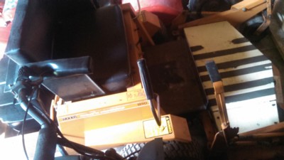 Auction Photo