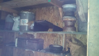 Auction Photo