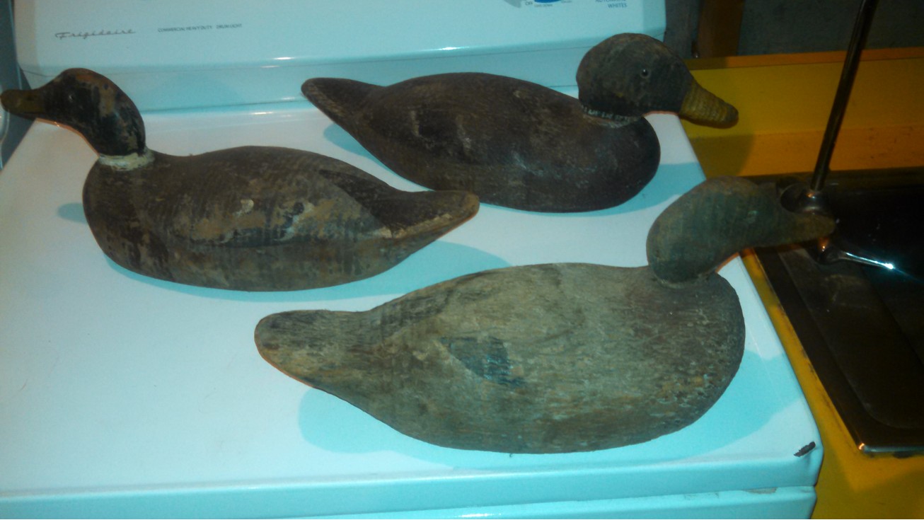Auction Photo
