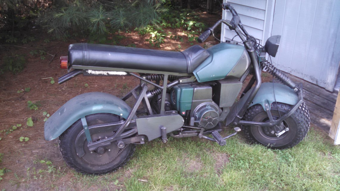 Auction Photo