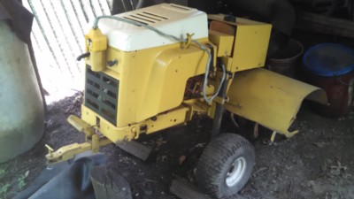 Auction Photo