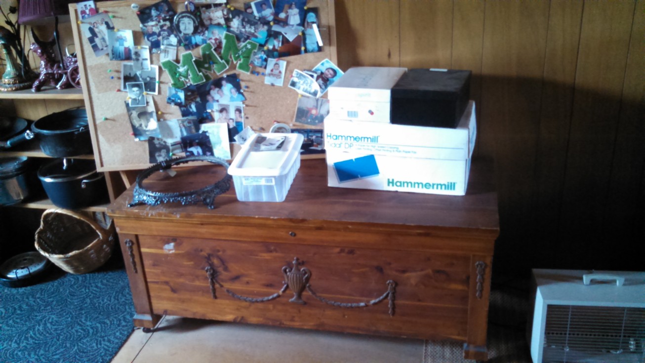 Auction Photo
