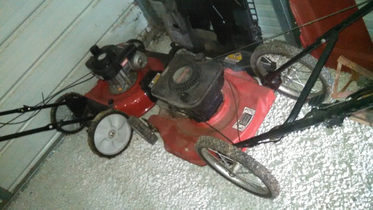 Auction Photo