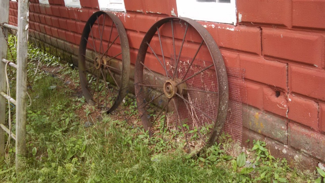 Auction Photo