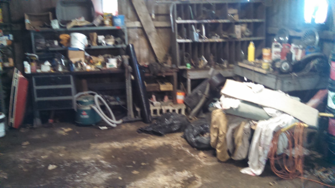 Auction Photo