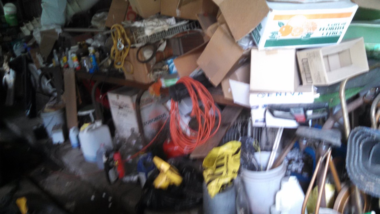 Auction Photo