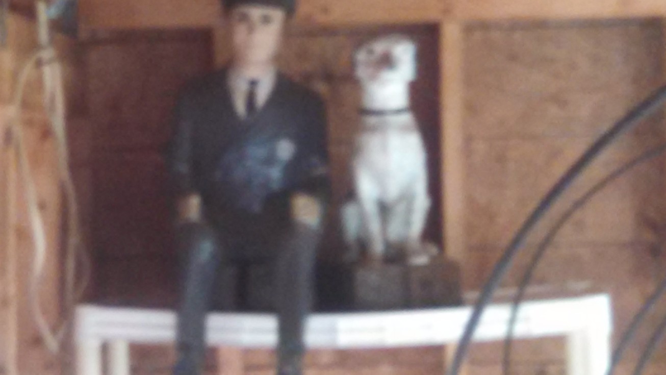 Auction Photo