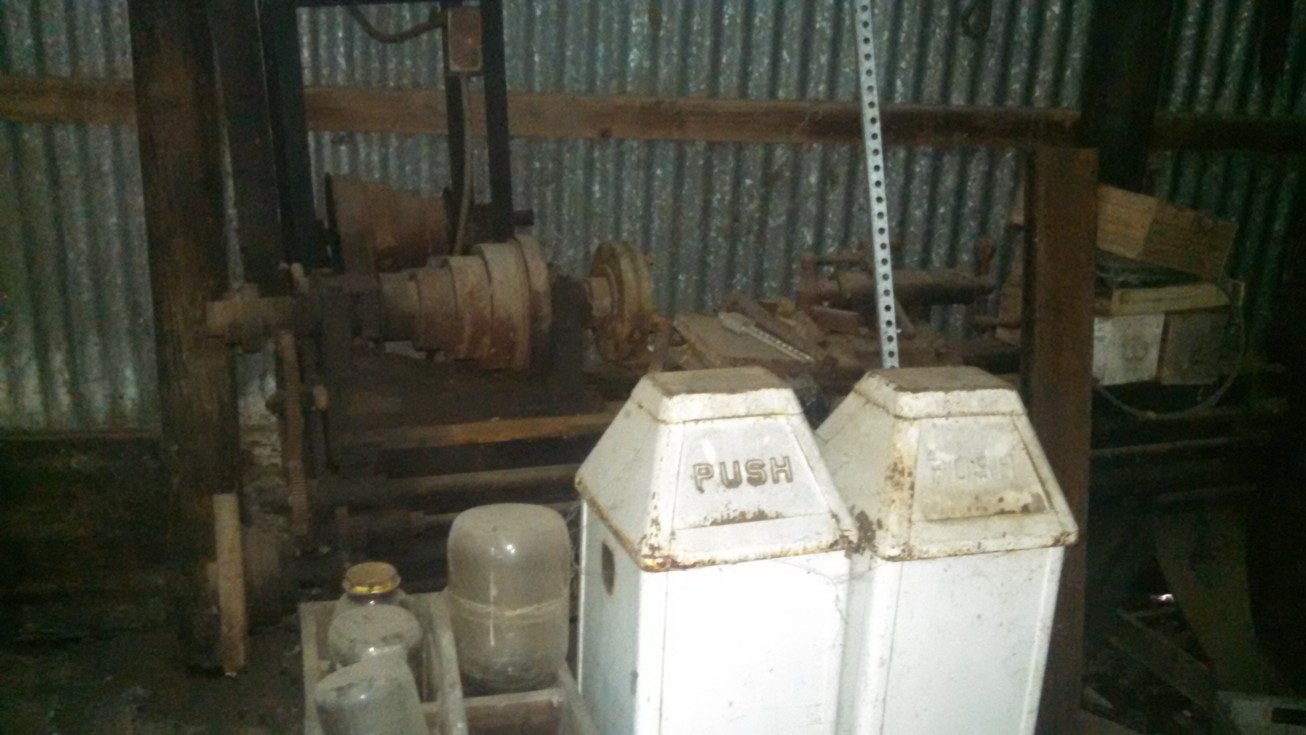 Auction Photo