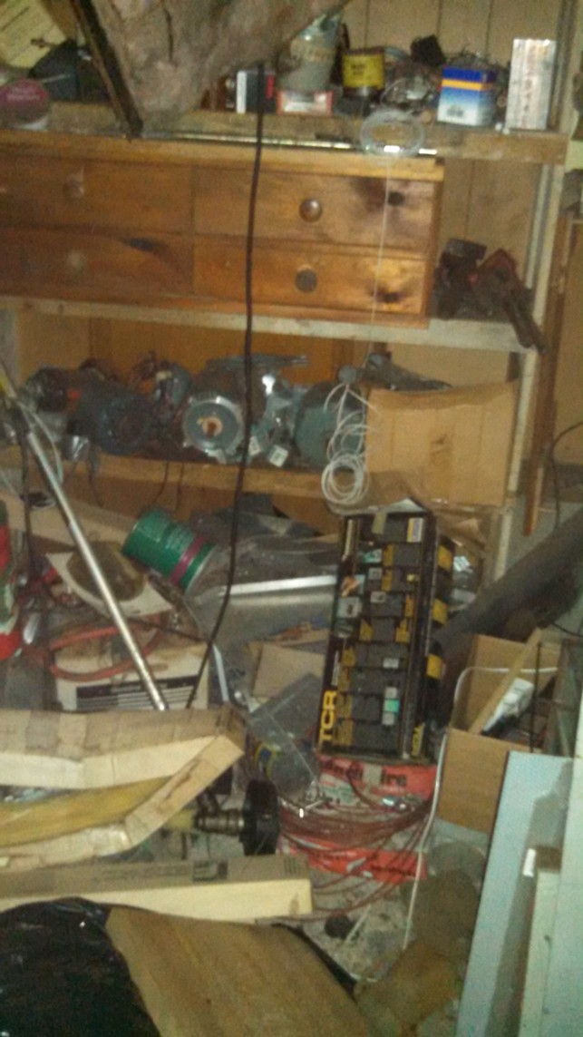 Auction Photo