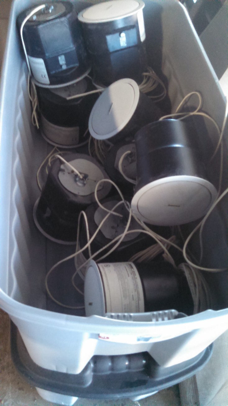 Auction Photo