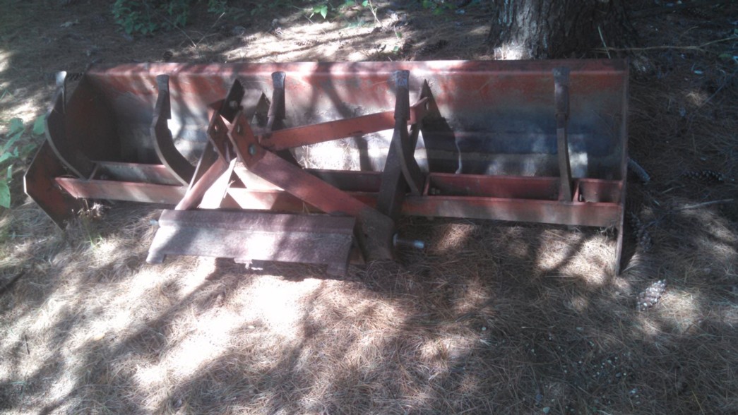 Auction Photo