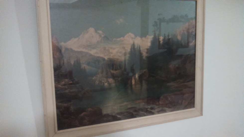 Auction Photo