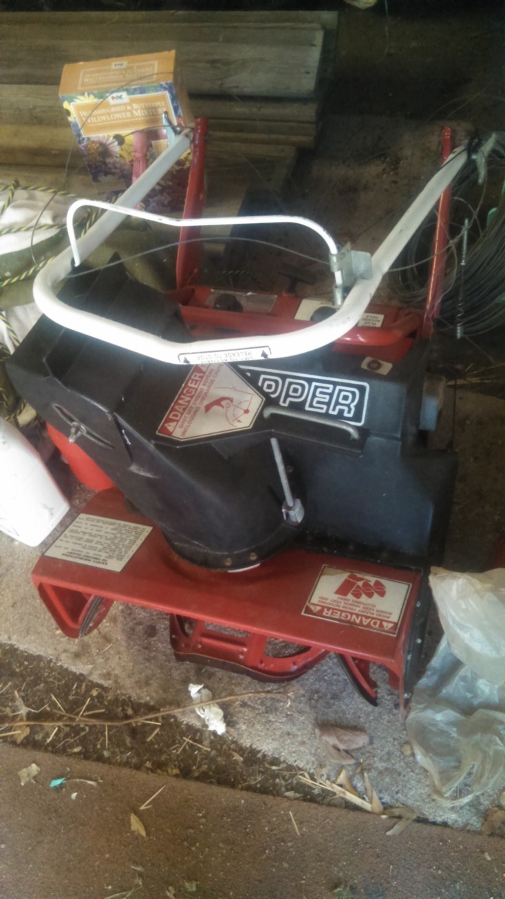 Auction Photo