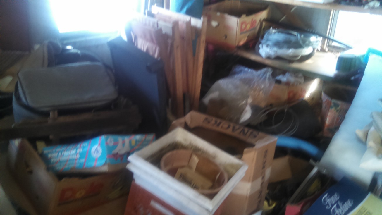 Auction Photo
