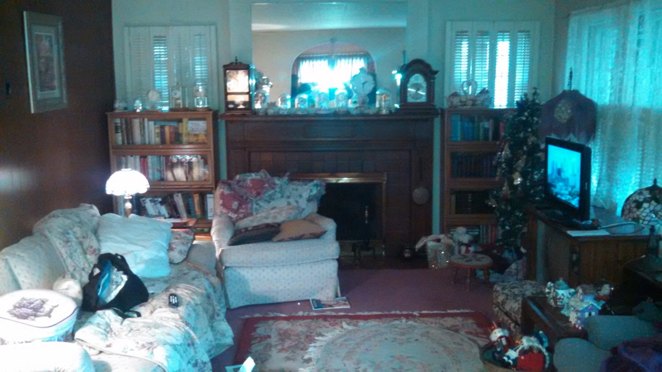 Auction Photo