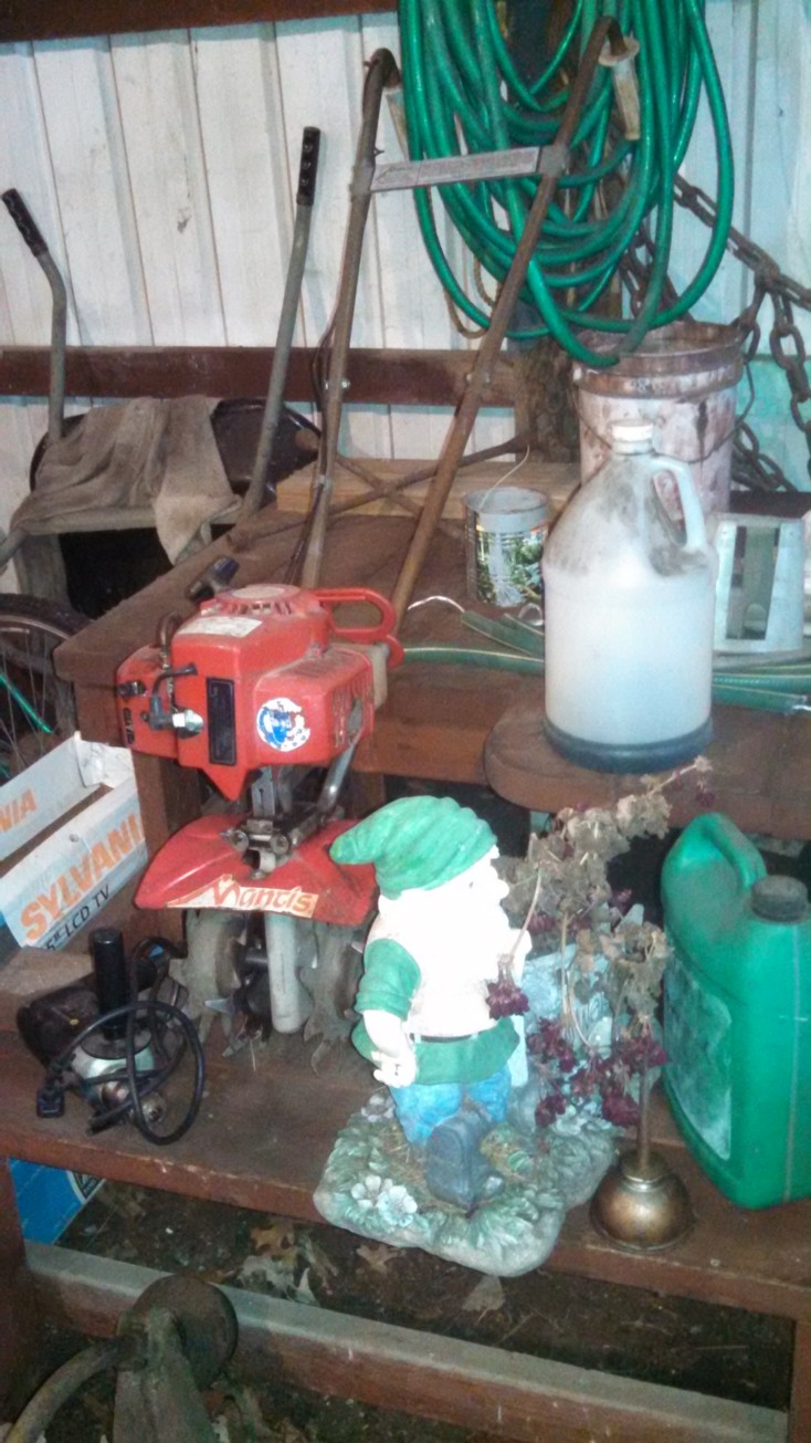 Auction Photo