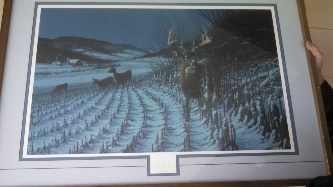 Auction Photo
