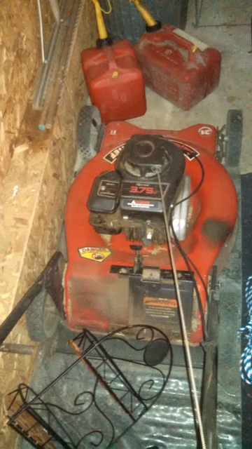 Auction Photo
