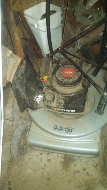 Auction Photo