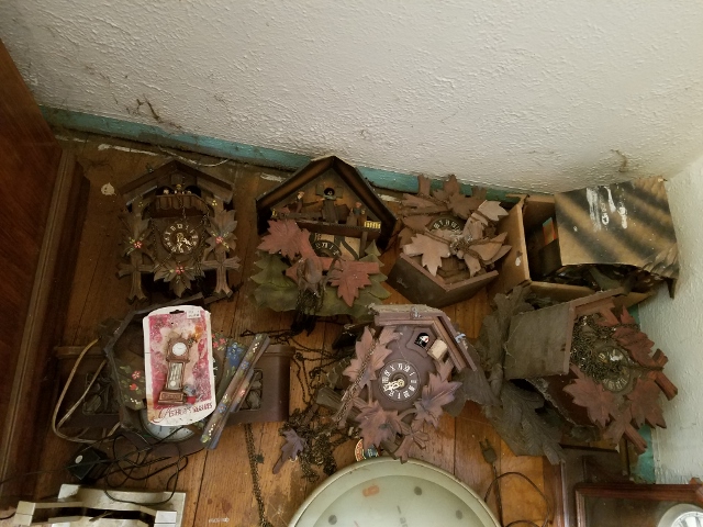 Auction Photo