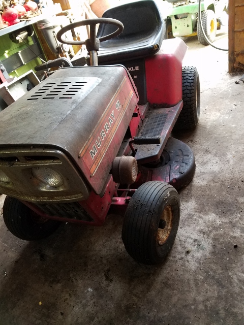 Auction Photo