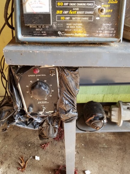 Auction Photo