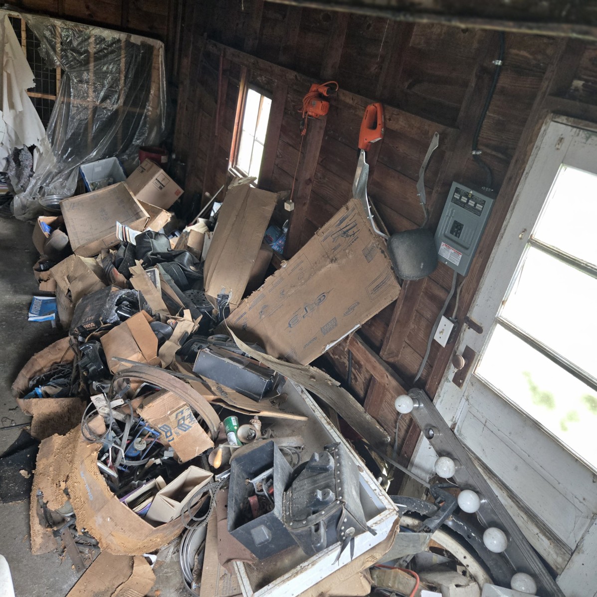 Auction Photo