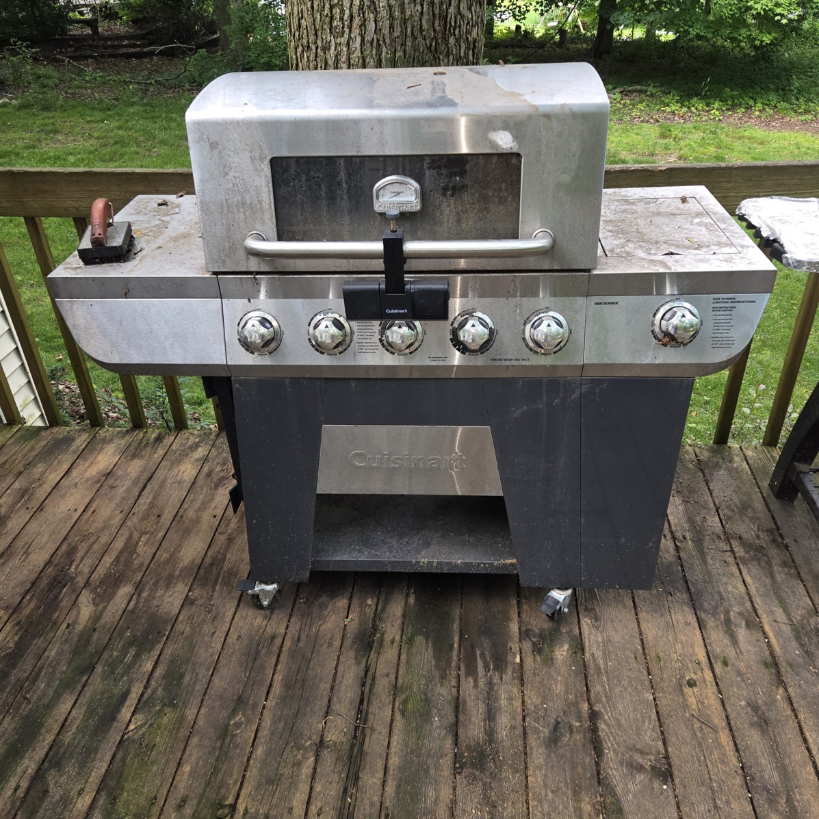 Auction Photo
