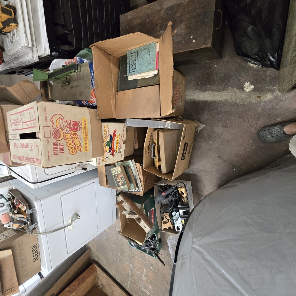 Auction Photo